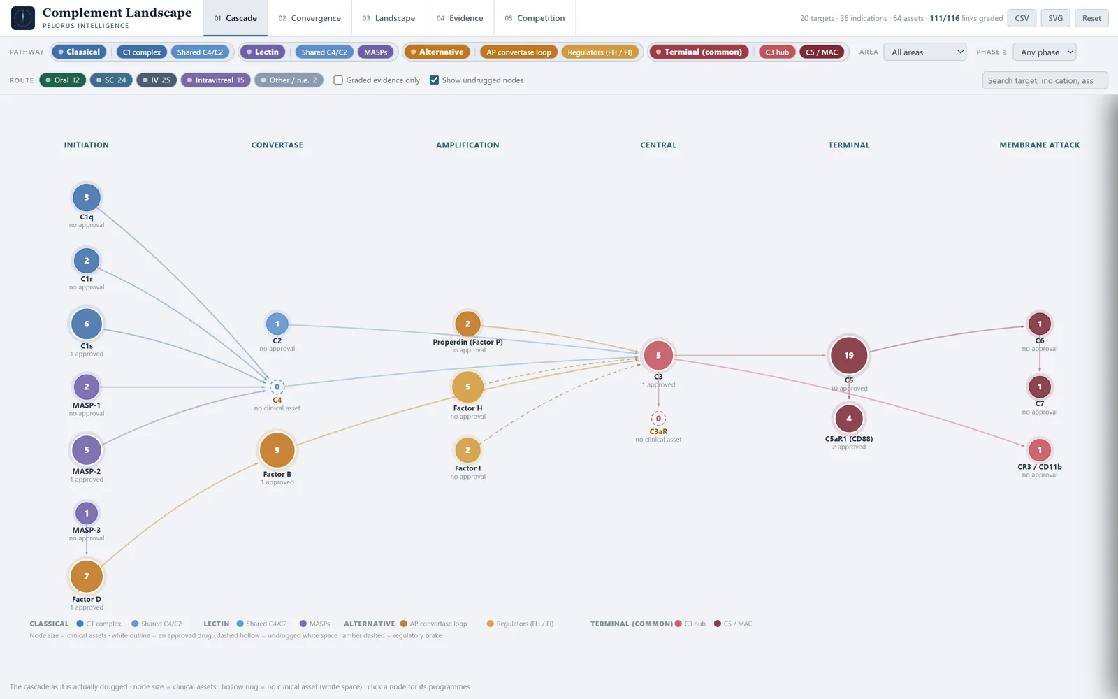 Pelorus Complement Landscape: the complement cascade drawn as a network, with node size showing clinical assets per target